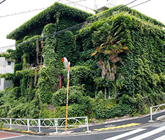 みどり荘
